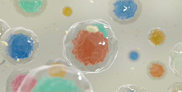 글로벌프론티어리서치센터 관련 사진