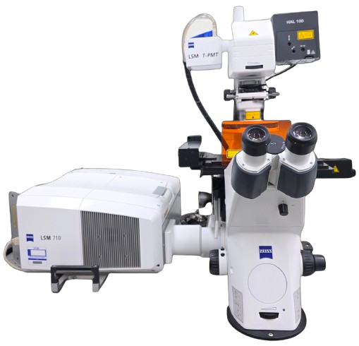 공초점 레이저 주사현미경(02.공초점_레이저_현미경_Carl_Zeiss_LSM710_-removebg-preview.png)